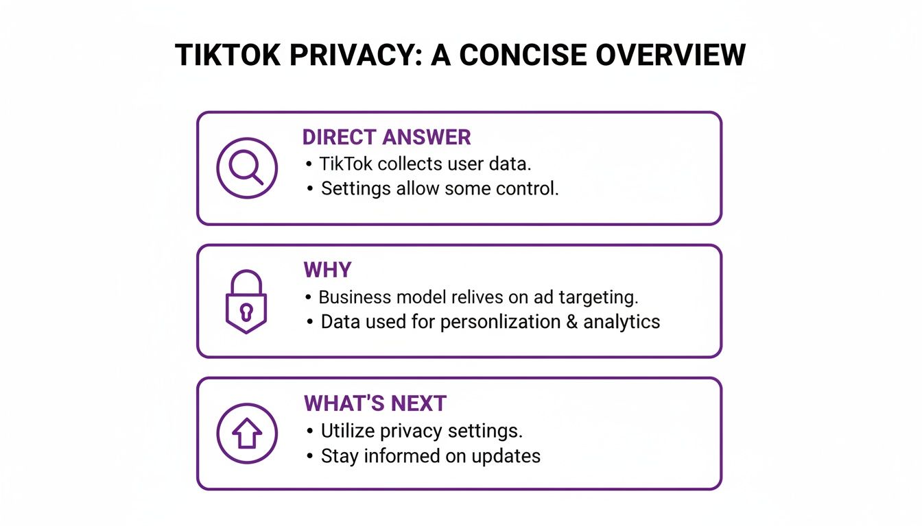 An infographic titled 'TikTok Privacy: A Concise Overview' detailing data collection, ad targeting, and privacy settings.