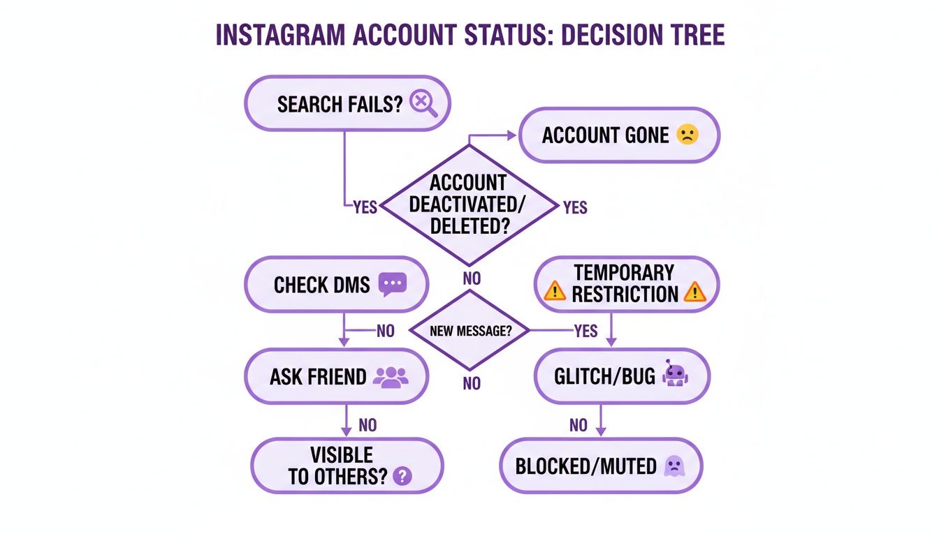 A decision tree flowchart for checking Instagram account status, identifying if an account is deactivated, restricted, or blocked.