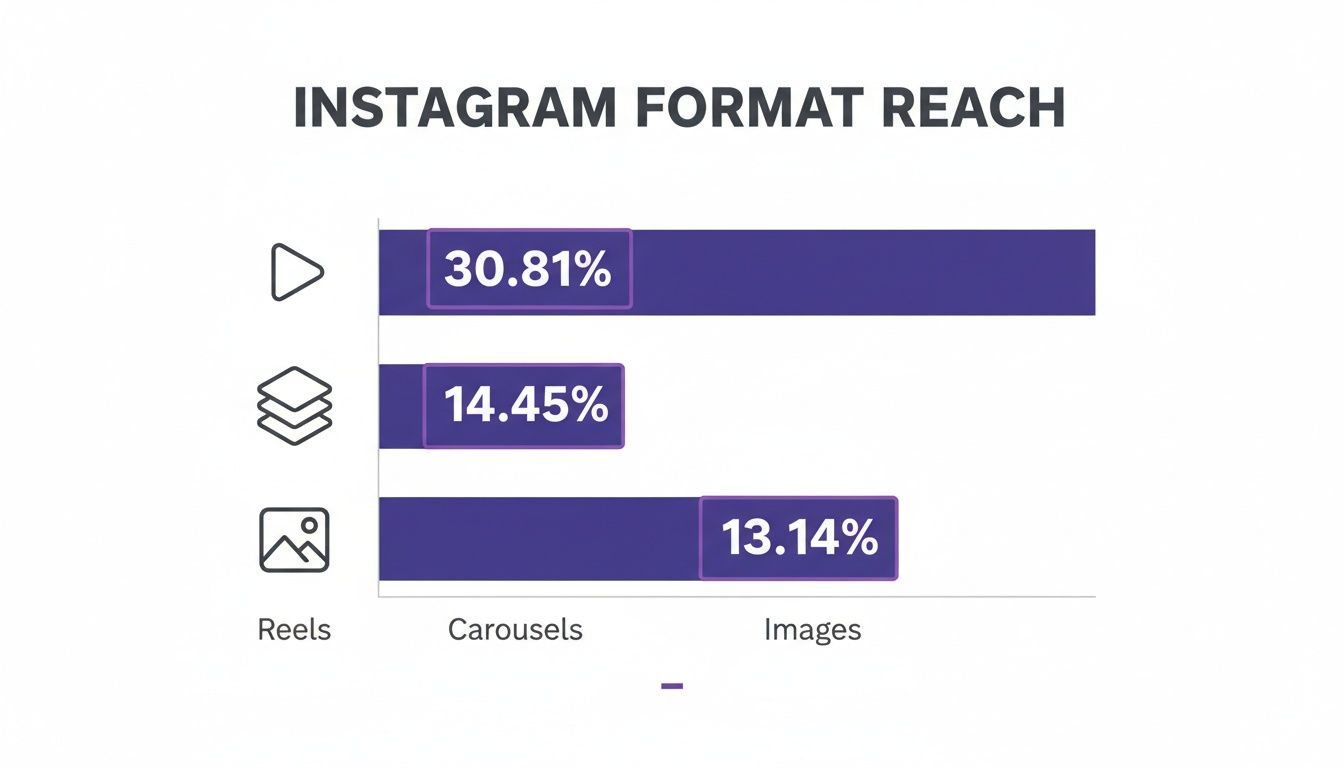 Bar chart showing Instagram format reach: Reels at 30.81%, Carousels 14.45%, and Images 13.14%.