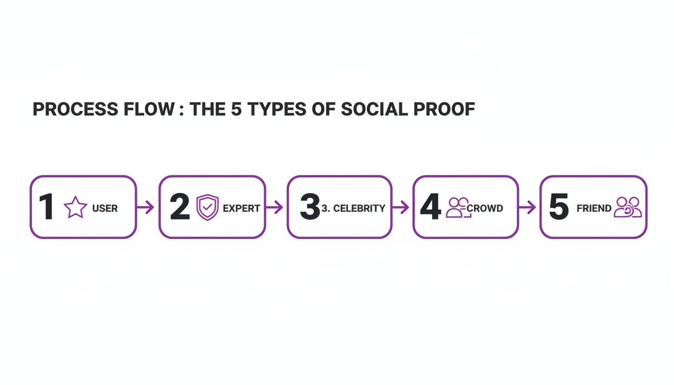 A process flow illustrating the 5 types of social proof: User, Expert, Celebrity, Crowd, and Friend.